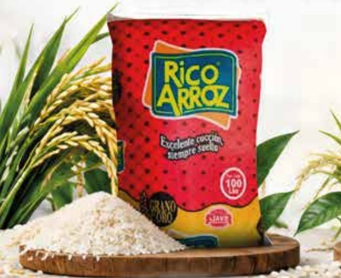 Arroz Rico