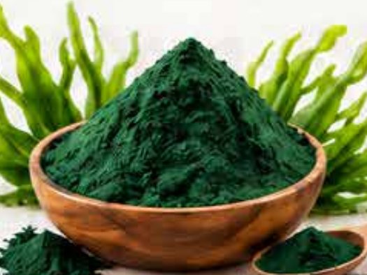 Espirulina en polvo