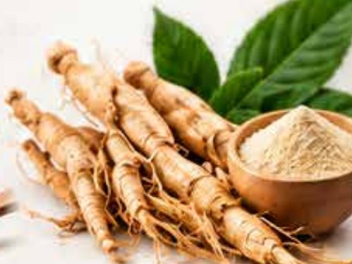 Ginseng en polvo
