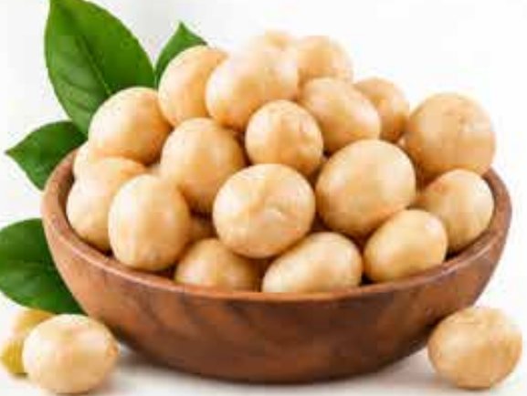 Macadamia
