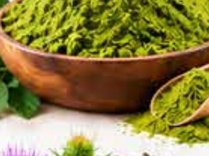 Moringa hoja